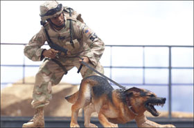McFarlane's Military Action Figure - Series 3 Air Force Security Forces K9 Handler Action Figure